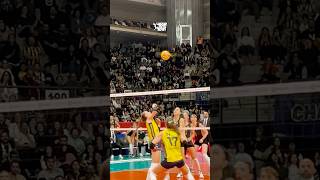 😱 Fenerbahçe’den ilginç sayı volleyball sultanlarligi fenerbahçe edaerdem rally [upl. by Issie]