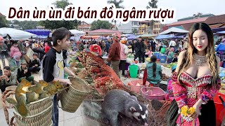 Chợ Bắc Hà những ngày cuối năm  Dân ùn ùn mang đồ ngâm rượu  dược liệu xuống núi bán [upl. by Anerec]