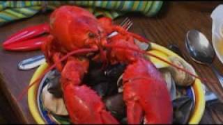 Setting the Table How to prepare a lobster feast with no cooking [upl. by Enomaj]