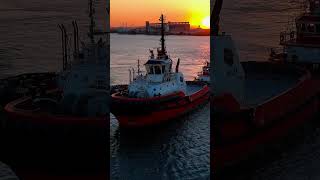 The Arrival of Svitzer Maria [upl. by Millan]