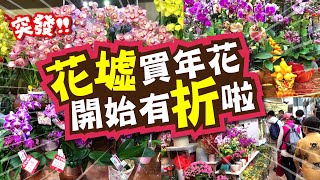 旺角花墟買年花🌸2023  開始有折啦  遍地開花🌺富貴榮華  🌷蘭花 桃花 🌹蕙蘭 五代同堂🎍 富貴竹 🎋發財樹  TVBean [upl. by Lavicrep]