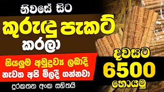 How To Start Swayan Rakiya Business at Home 2024 කුරුදු පැකට් Business Swayan Rakiya in Srilanka [upl. by Lleynod]