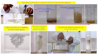 Catalyse homogène hétérogène et enzymatique 2eme Bac [upl. by Aibos]