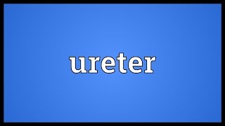 Ureter Meaning [upl. by Avivah]