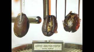 Coffee roasting technique by COFFEE ANALYSIS CENTER in korea [upl. by Anma54]