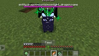 Tame ender dragon in Minecraft  Tame ender dragon mcpe  Minecraft mount dragon mod  minecraft mod [upl. by Sadonia]