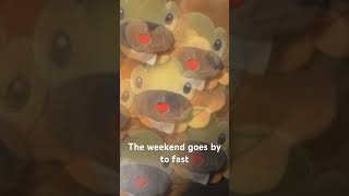 To fast music dj housemusic remix dance funny flipnotestudio3d memes cute bidoof pets [upl. by Llenyaj]