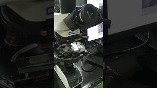 Polarizing Microscope [upl. by Nihi]