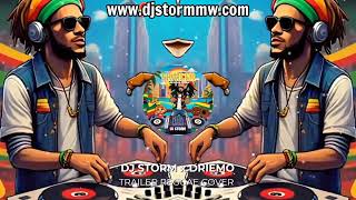 DJ Storm x Driemo  Trailer Reggae Cover 2024🔥🌊Official Audio [upl. by Suiravaj]