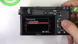 How to Set Up Exposure Compensation on Sony Alpha Cameras [upl. by Iren236]