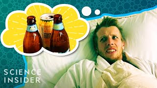 What Happens To Your Body During A Hangover [upl. by Huoh]