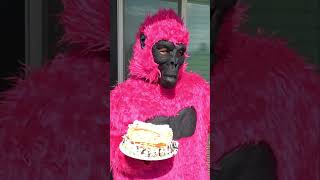 HILARIOUS Cake Prank with a Skeleton Gorilla and Puppy [upl. by Nahor898]