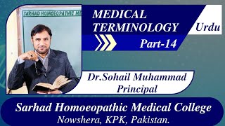 MEDICAL TERMINOLOGY PART 14  cyte cell WBCs  RBCs thrombocytes Urdu Hindi bangali Dr Sohail [upl. by Day]