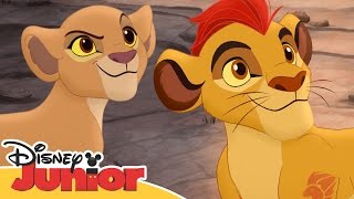 Løvenes garde Kiara omringet av hyenene  Disney Junior Norge [upl. by Elcarim]