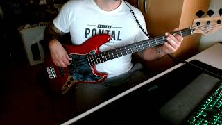 Robbie Williams  Come undone bass cover [upl. by Aicnilav]