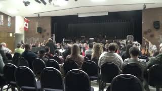 SDSS Royals Senior Band  Music from Stranger Things [upl. by Dyer758]