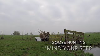 Goose Hunting ganzenjacht in Holland with a browning A5 and a fieldtrial lab [upl. by Aciruam306]