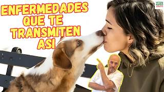 🆘 ENFERMEDADES QUE TRANSMITEN LOS PERROS A LOS HUMANOS POR LA SALIVA 🆘 [upl. by Fitalludba]