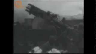 Korean War Combat Footage [upl. by Esinehc]