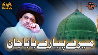 Mere Pyare Baba JAAN  Manqabat KHADIM Hussain RIZVI  New TLP Manqabat [upl. by Alexio]