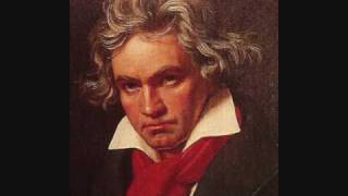 9th Symphony of Beethoven 2nd Movement [upl. by Milano]