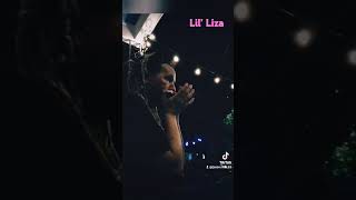 Lil Liza harmonica jasonricci neworleans [upl. by Anoif]