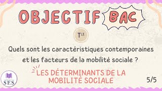 BAC Cours Mobilité Sociale  Les déterminants de la MS [upl. by Compte]