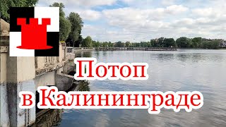 Потоп в Калининграде и другие новости [upl. by Kcin745]