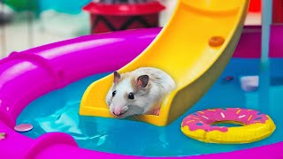 🐹 Hamster Escapes the MEGA AQUAPARK MAZE OBSTACLE COURSE [upl. by Anthea573]