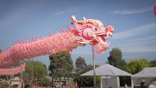 Hobsons Bay LNY 2024  Dragon Dance [upl. by Agni]