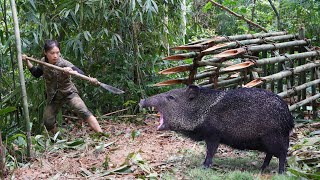 breaking into wild boars den being attacked by wild boar skills wild boar trap survival alone [upl. by Gnanmos]