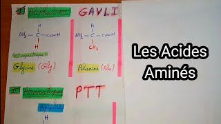 🔔 L2 Biochimie Résumé Les Acides Aminés Partie 1 Astuces pour apprendre les AA  une application [upl. by Binny]