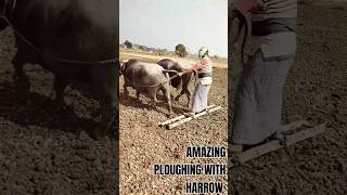 Amazing ploughing with harrowAmazing World Views [upl. by Devi494]