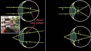 Lakhnavi Andaaz Class 10  Lakhnavi Andaaz Class 10 Animation  Class 10 Hindi Lakhnavi Andaaz [upl. by Radferd291]