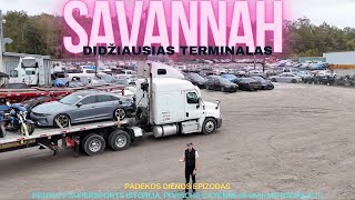 SAVANNAH GA  Didziausias Krovos terminalas Mano Bentley apleistas jau 7 metus Porsche is IAAI [upl. by Llenor]