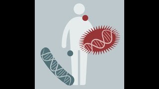 Microbiome Analysis 2023  04 Intro to Metagenomic Sequencing [upl. by Hsoj]