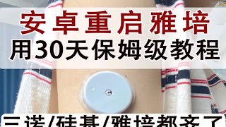 雅培重启！延期用30天～保姆级教程 [upl. by Novoj]