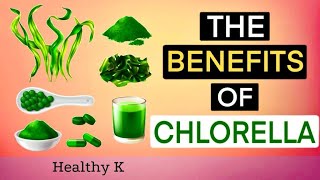 Why You Need to be Taking Chlorella  The King of Superfoods [upl. by Leisha]