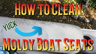 How to Clean Moldy Boat Seats [upl. by Abad198]