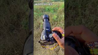 Nikon photography with 70300 lens 🤯 trending edit camera youtubeshort [upl. by Monia]