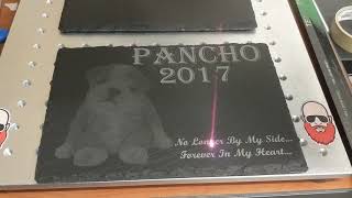 Laser Engraved Pet Memorial [upl. by Eekram]