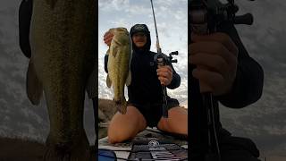 DOITALL BFS Rod Lands Big Bass [upl. by Graff]