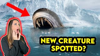 Most UNIQUE Recent Discoveries Made In Antarctica [upl. by Oremoh]