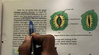 2 autotrophic nutrition class 10 biology life processes NCERT [upl. by Aldon307]