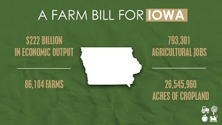 Rep Feenstra secures victories for Iowa agriculture in the Farm Bill [upl. by Janeen721]