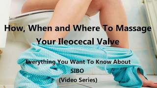 How When and Where To Massage Your Ileocecal Valve [upl. by Welford]