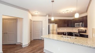 The Venue Big Creek Apartments in Alpharetta Georgia  thevenuebigcreekcom  1BD 1BA For Rent [upl. by Sucramaj772]