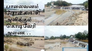 Kodiveri dam water level  Bavanisagar dam  Mettur dam  Sathyamangalam [upl. by Wilkey331]