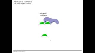 Dehydration Synthesis and Hydrolysis [upl. by Hrutkay]