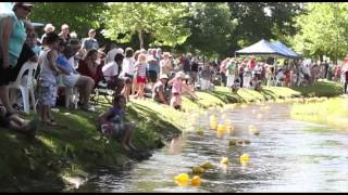 TumbaFest Highlights Annual Festival Tumbarumba NSW [upl. by Yenmor546]